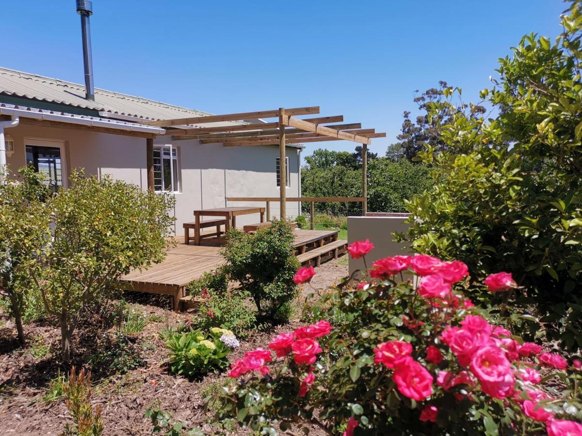 אלגין Moortop Cottages מראה חיצוני תמונה