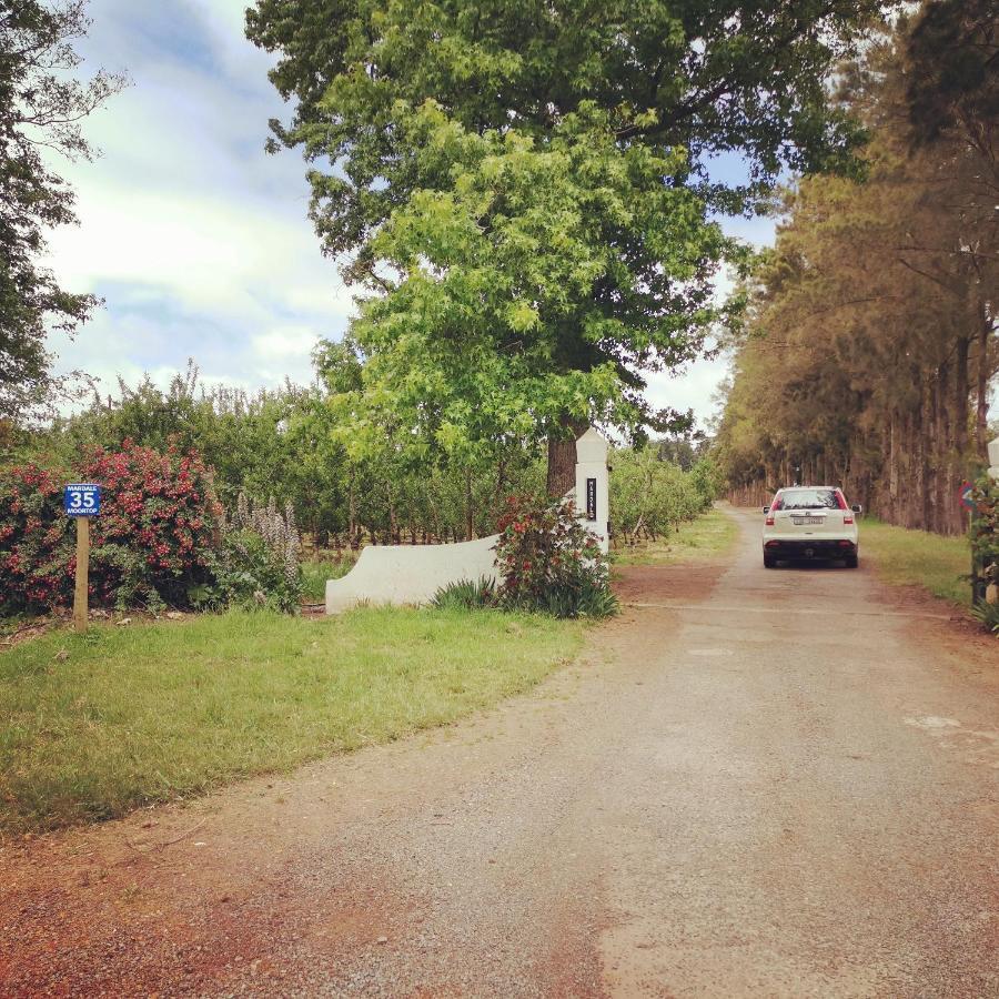 אלגין Moortop Cottages מראה חיצוני תמונה