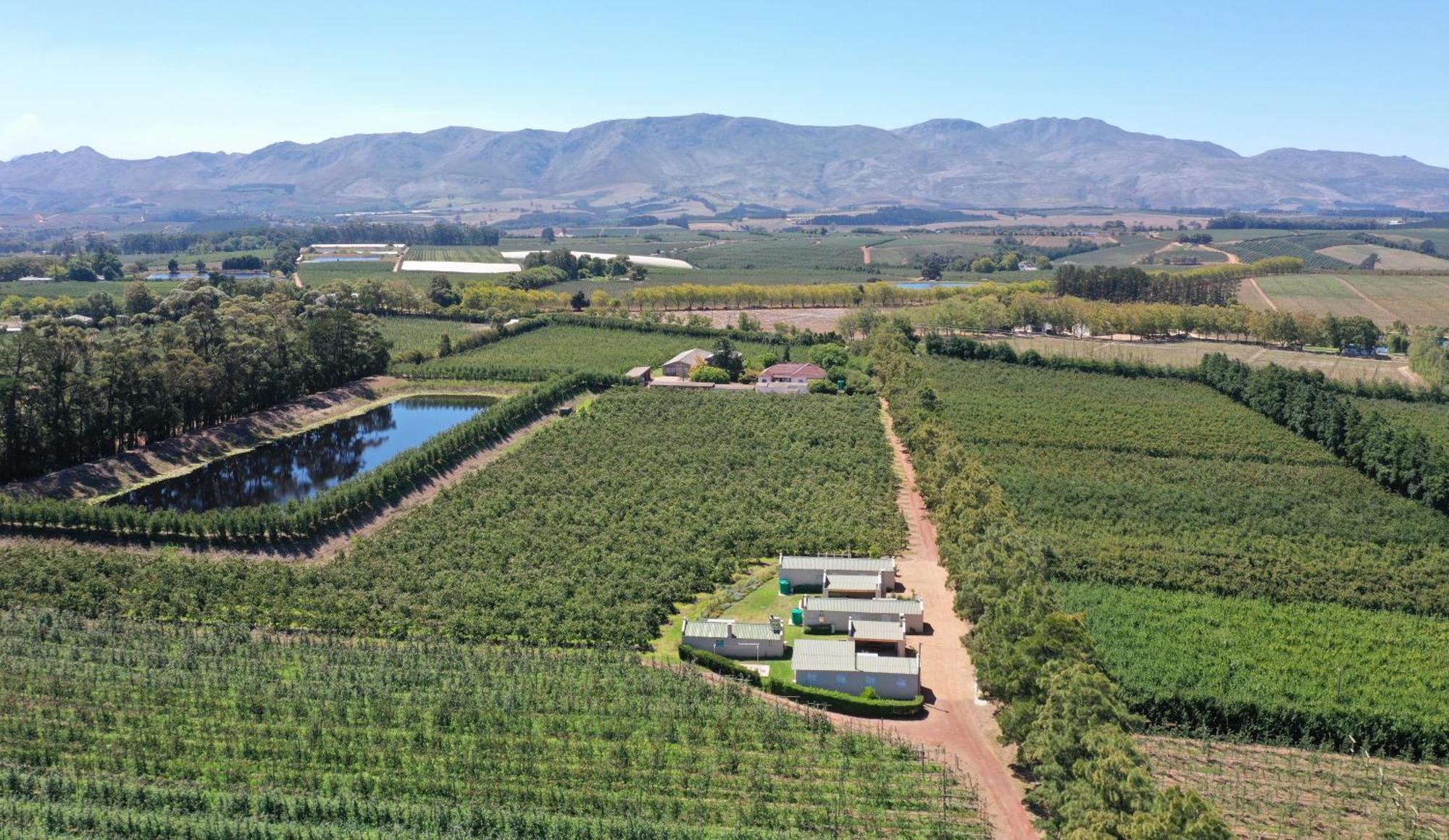 אלגין Moortop Cottages מראה חיצוני תמונה